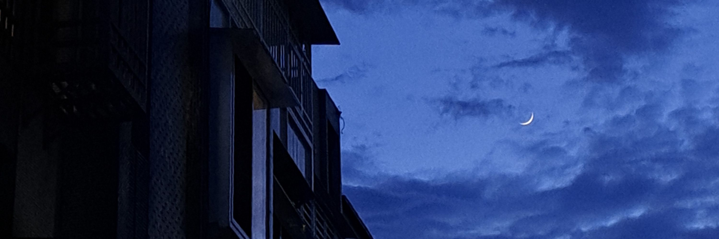 畫中雨