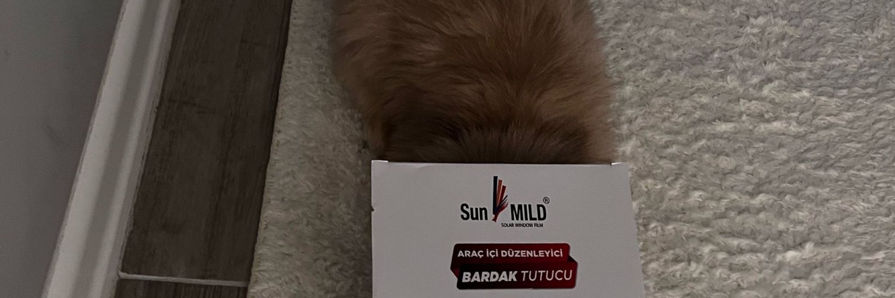 Baskabirgezegen