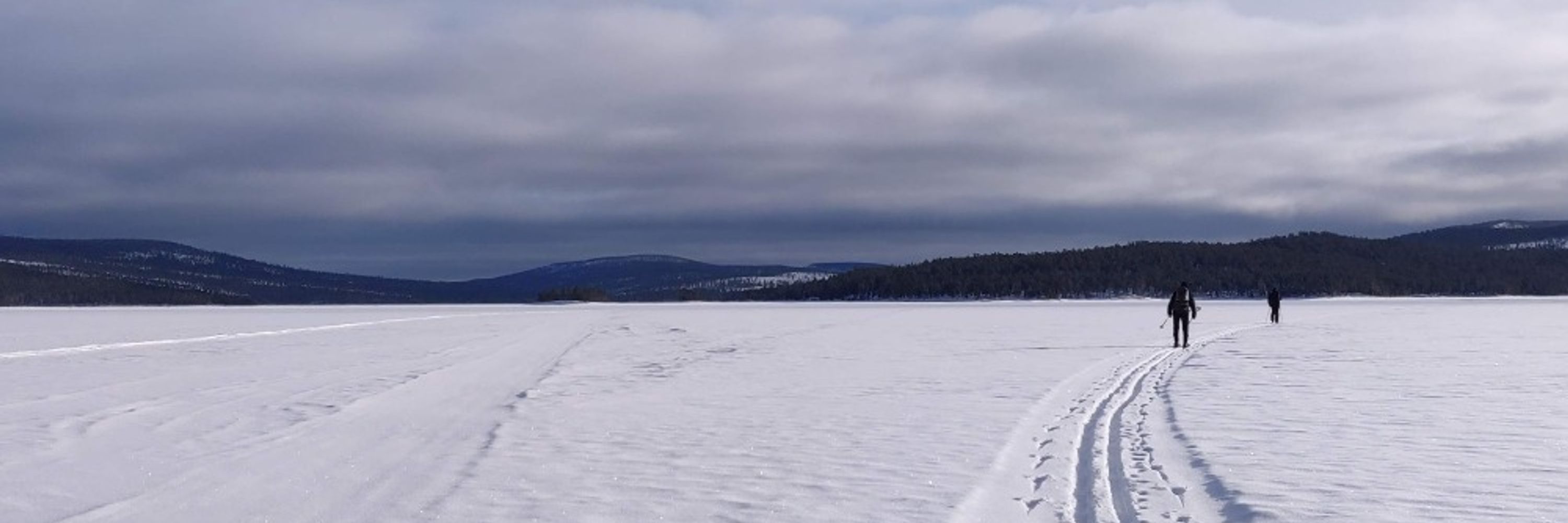 Matti Aho