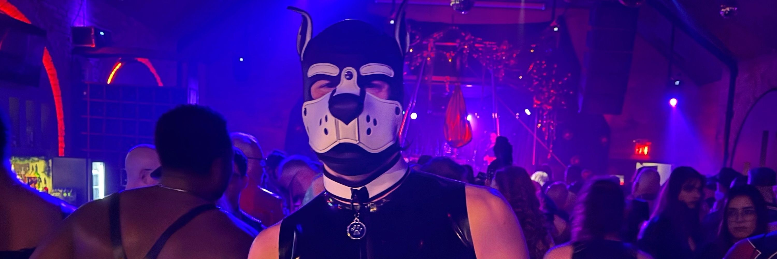 Puppy Felix