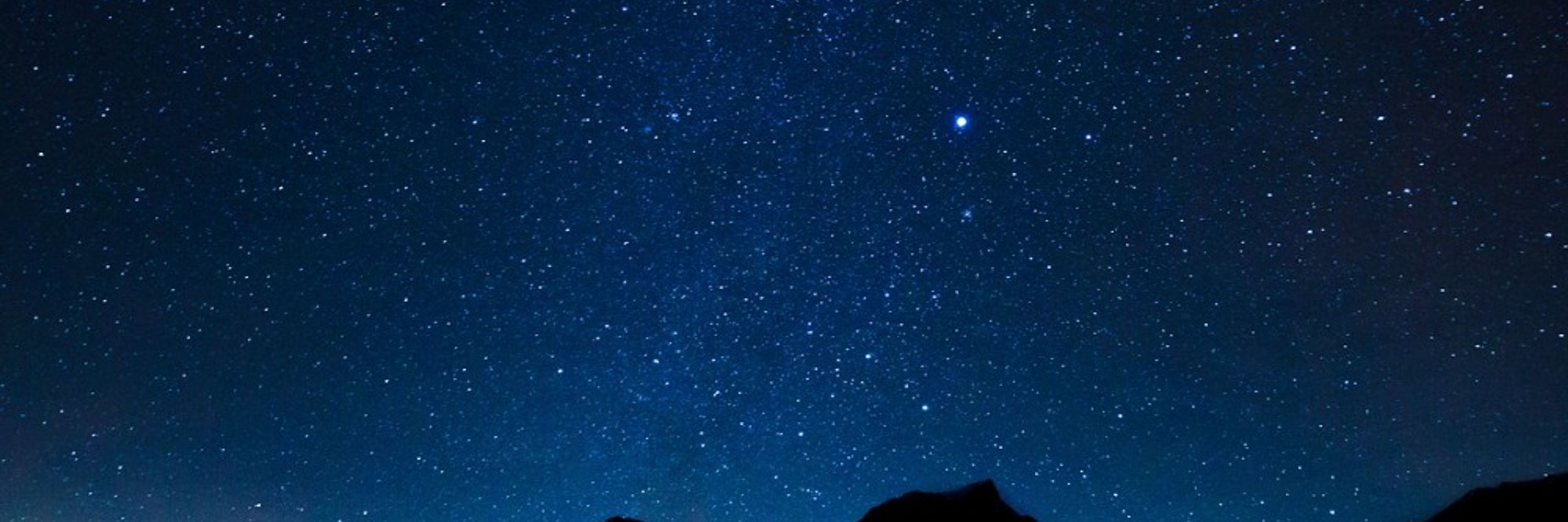 cosmos08