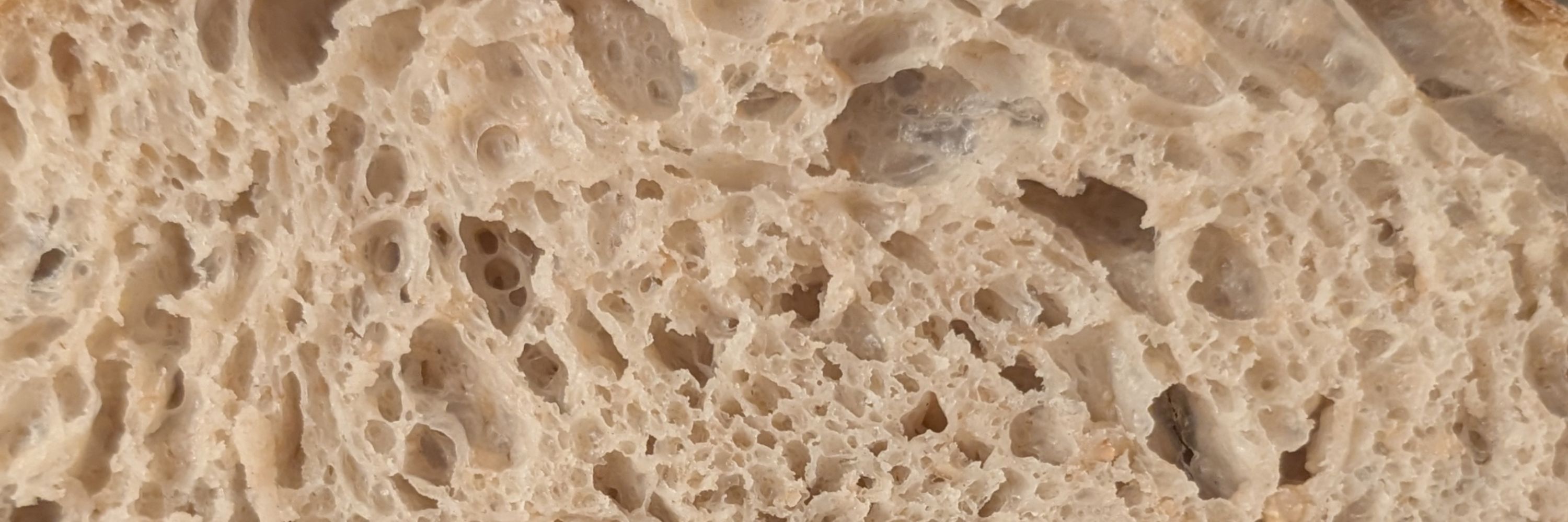 Yet another sourdough baker