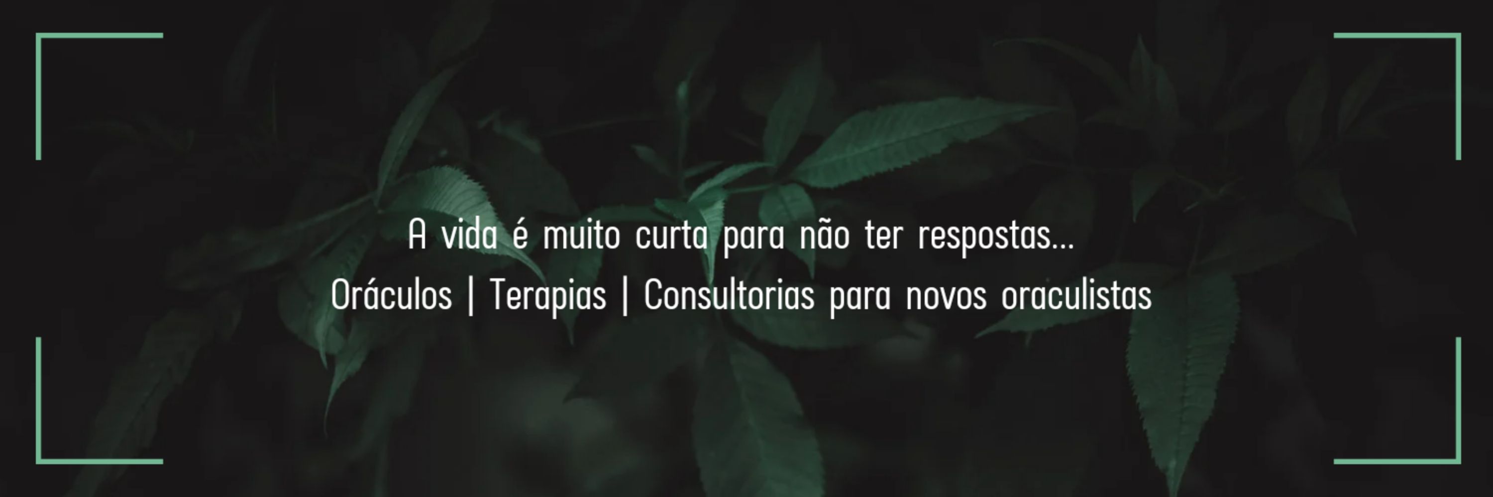Grazi Leite | Tarot