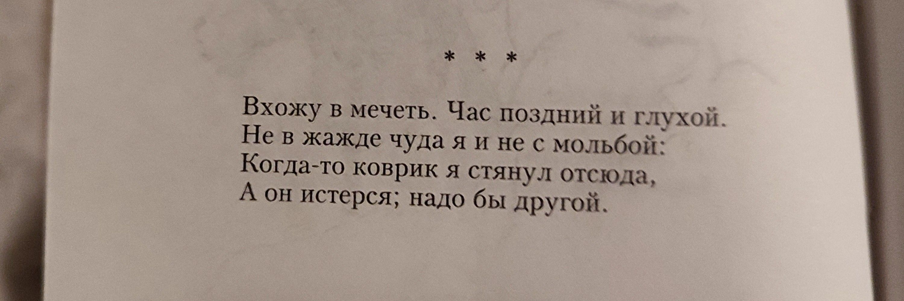 драконовый таракан