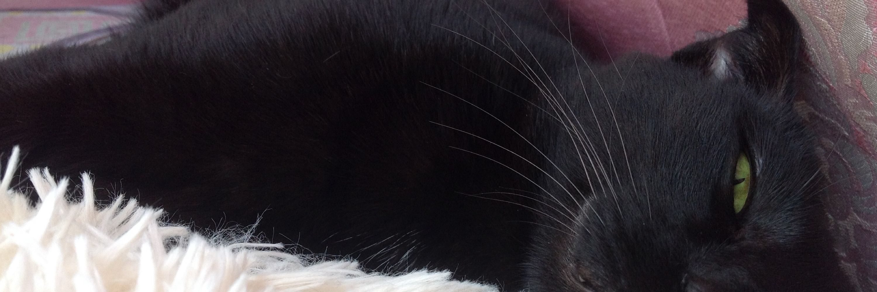 Miminya