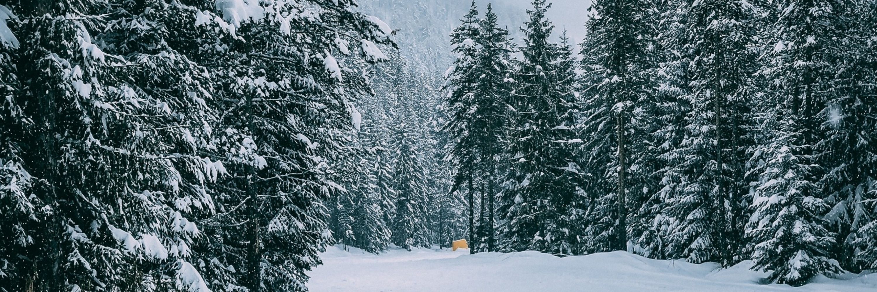 Vinter_frost