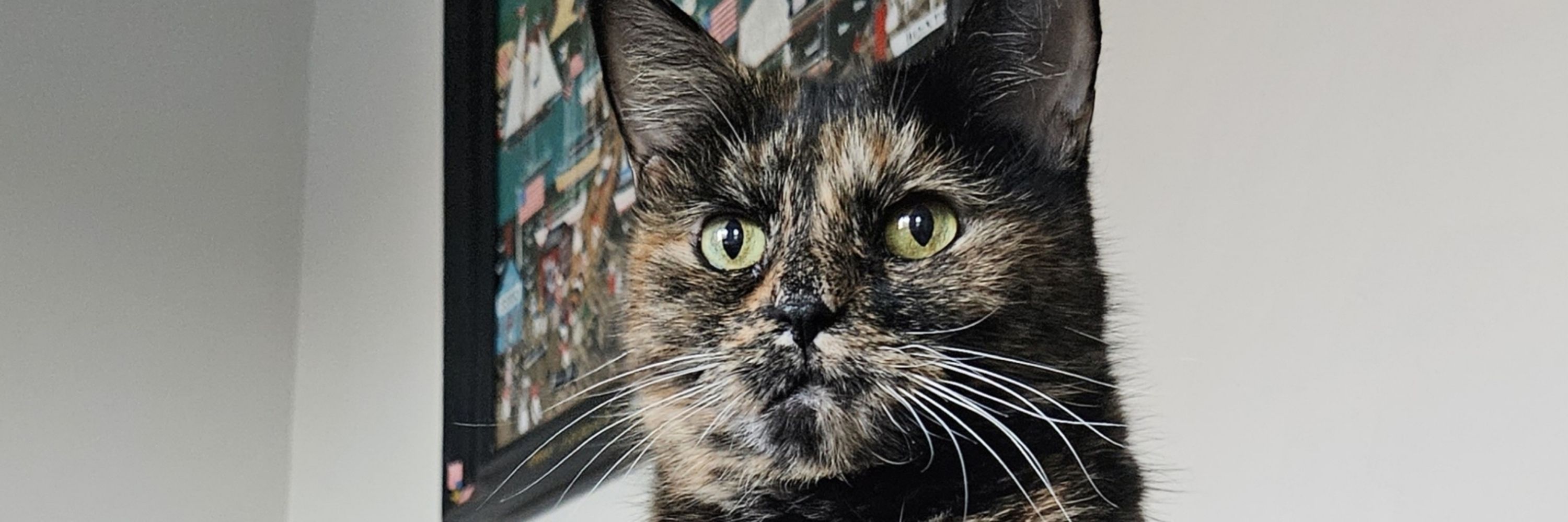 Hellcat