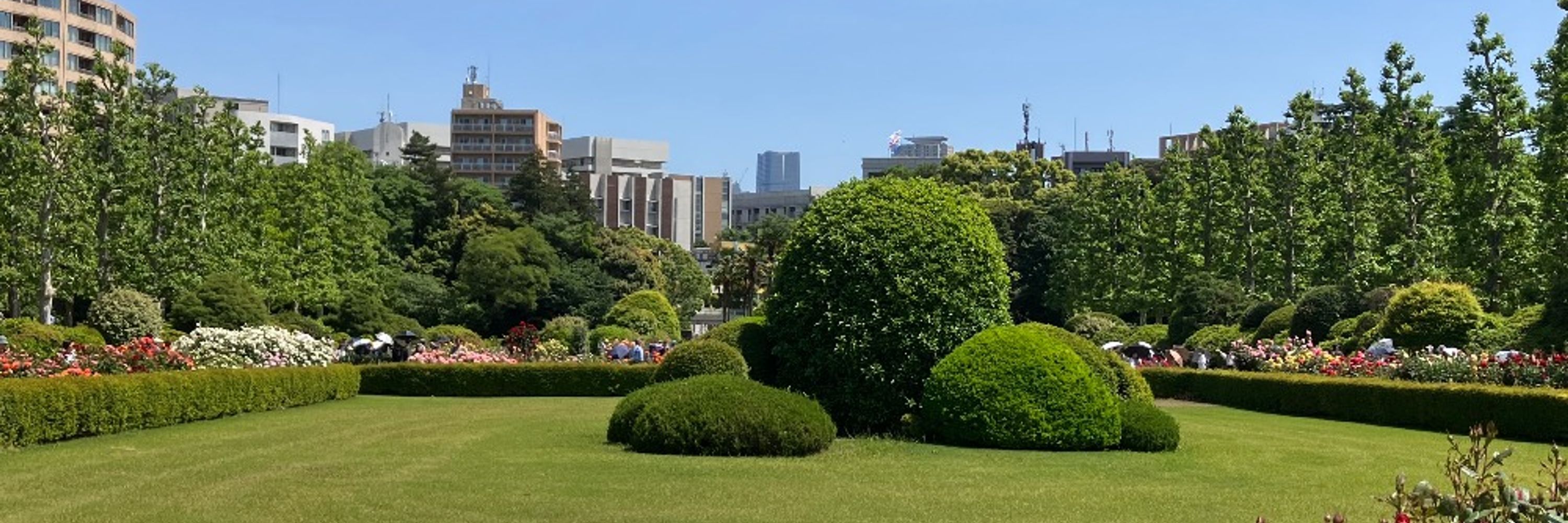 おおやま
