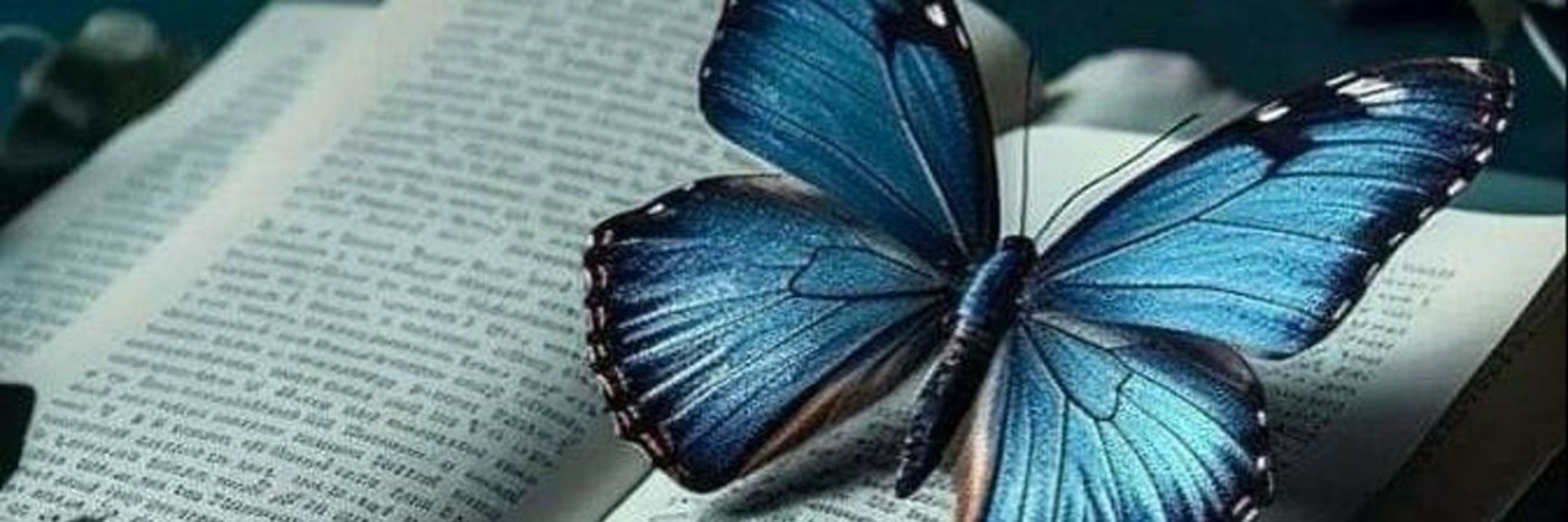 juhh🦋