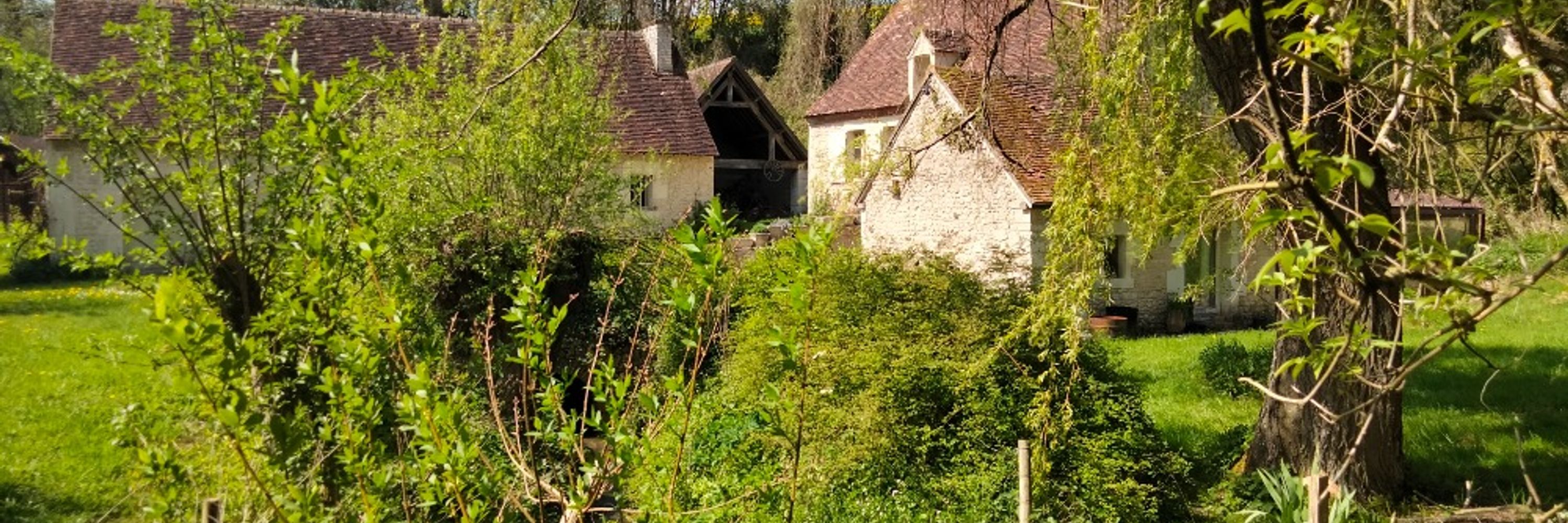 KATALPA