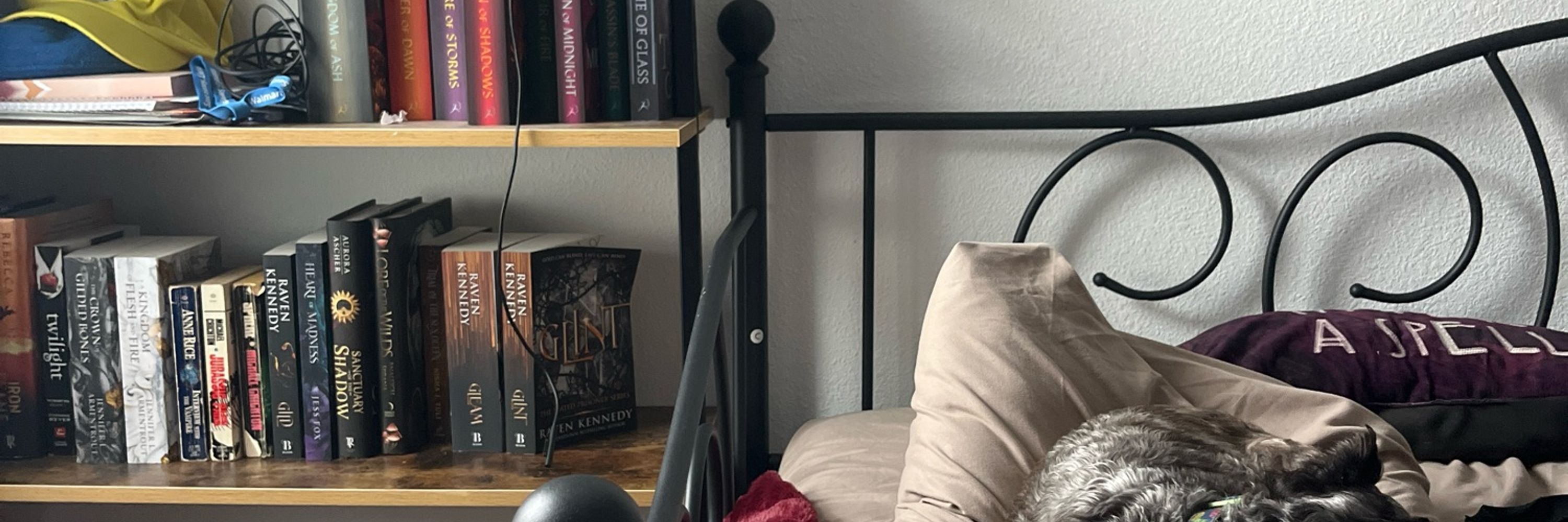 Marcela Marquez is *Querying*