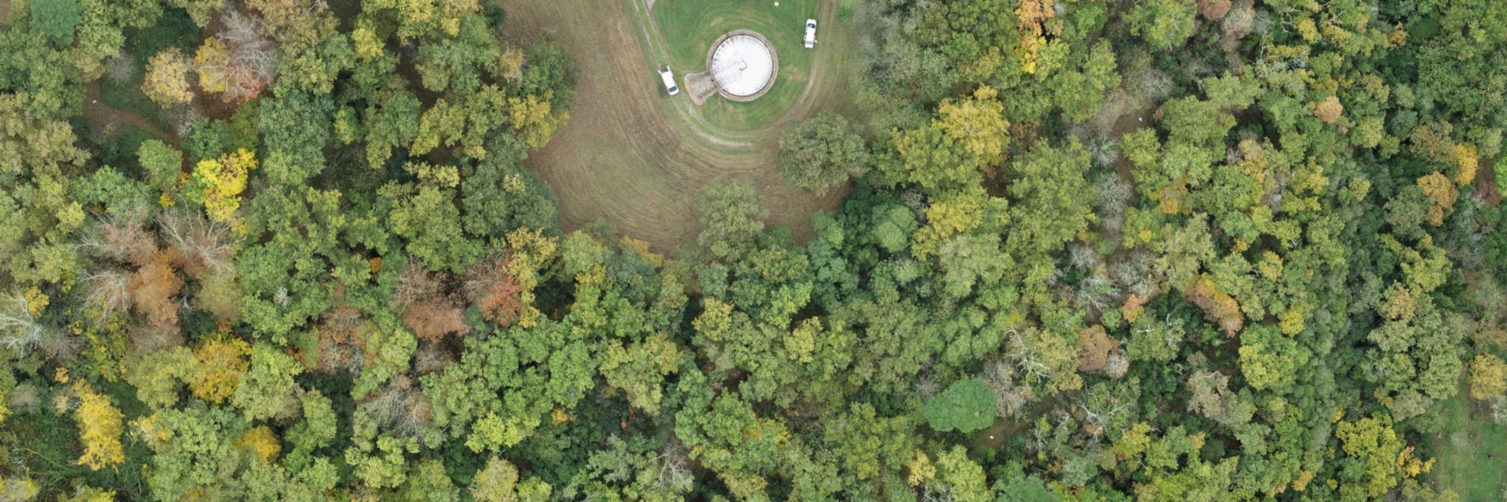 Forêt expérimentale de l'Université de Bordeaux