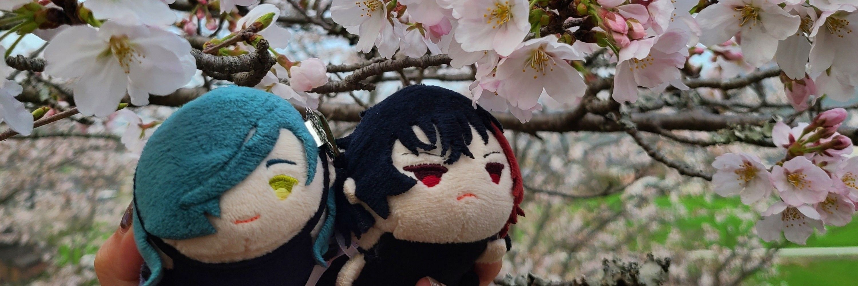しぐれ