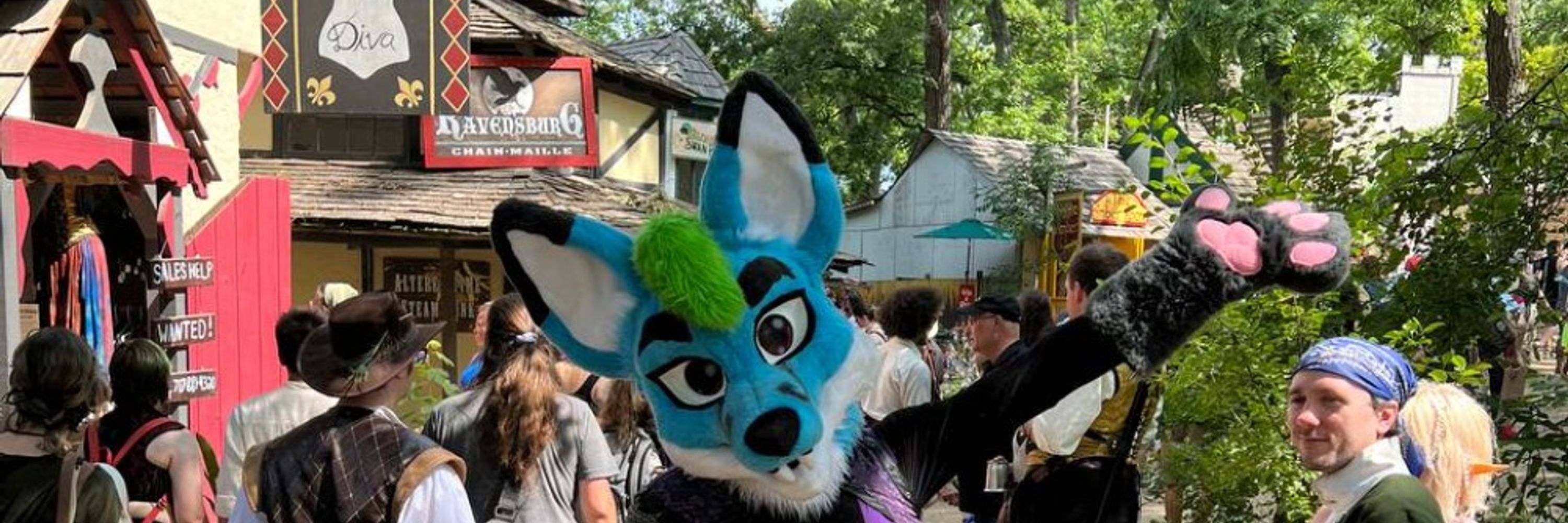 Bajamasfox 