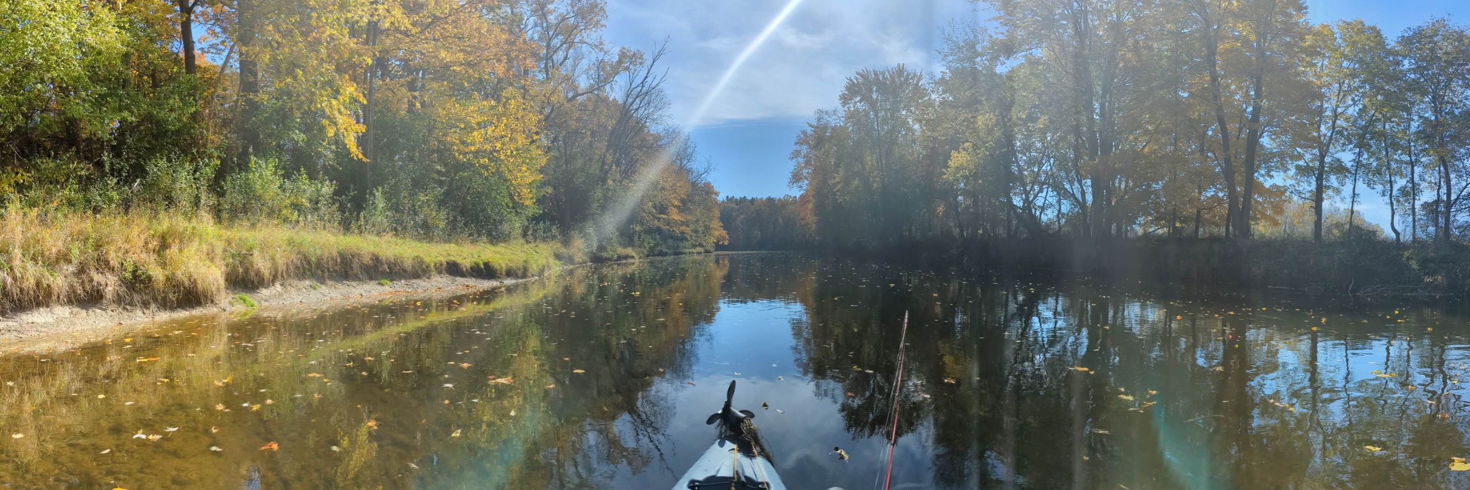 FishBytes.app