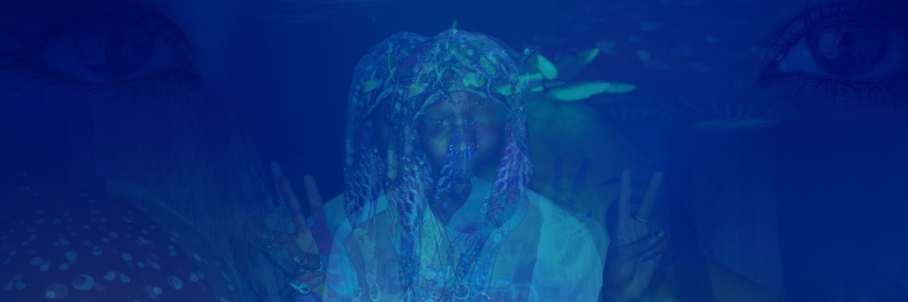Bluejayx