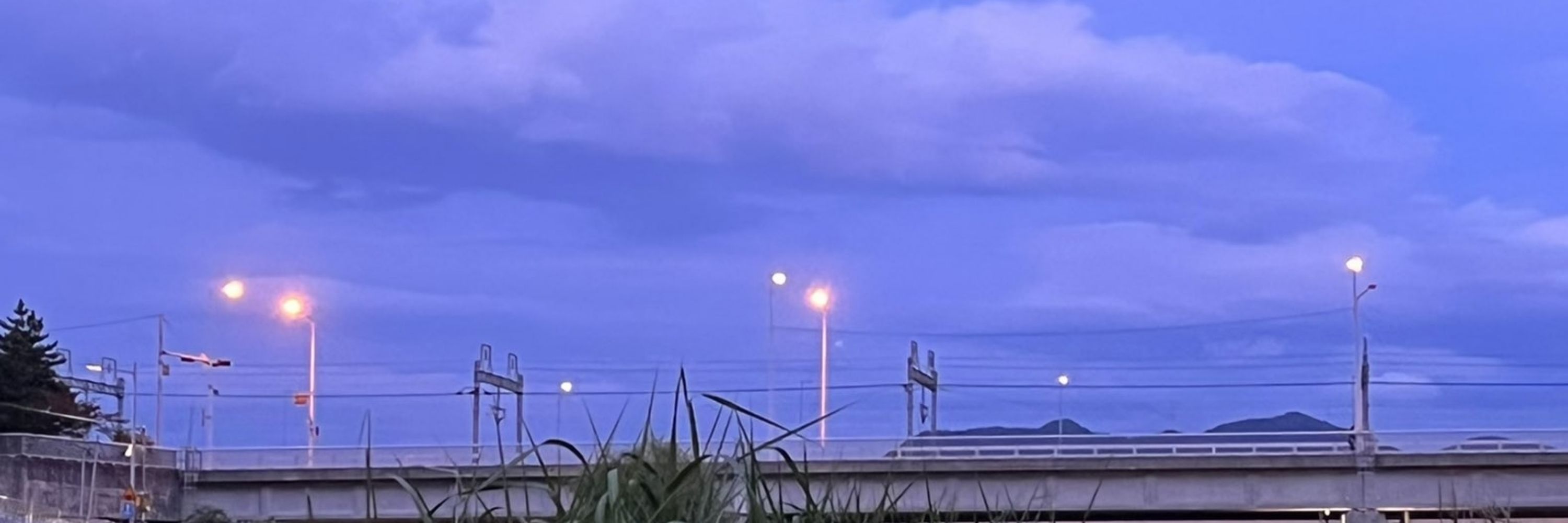 도리