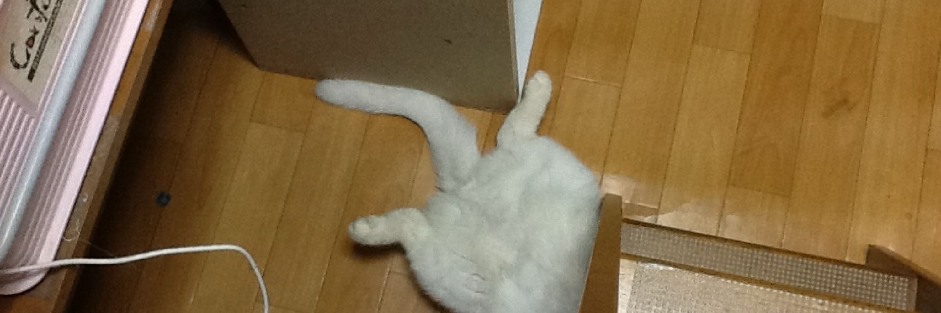 ななみ