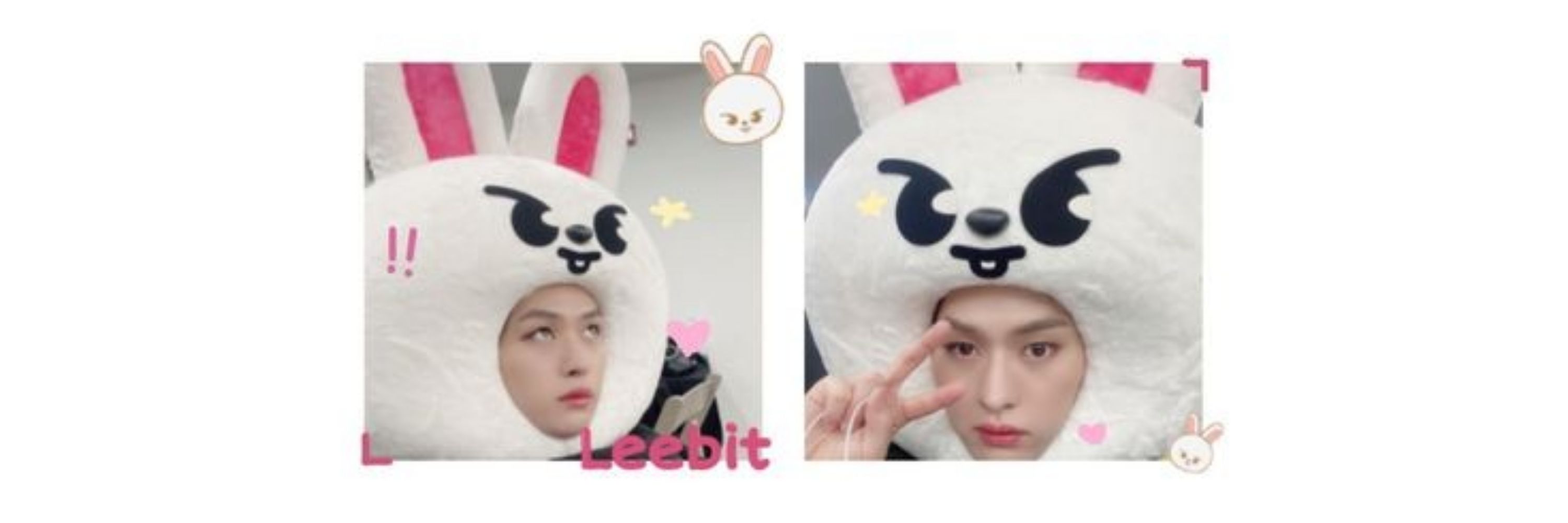 Lee Know as a rabbit 🐇💚🩷 VAI VER O SKZ