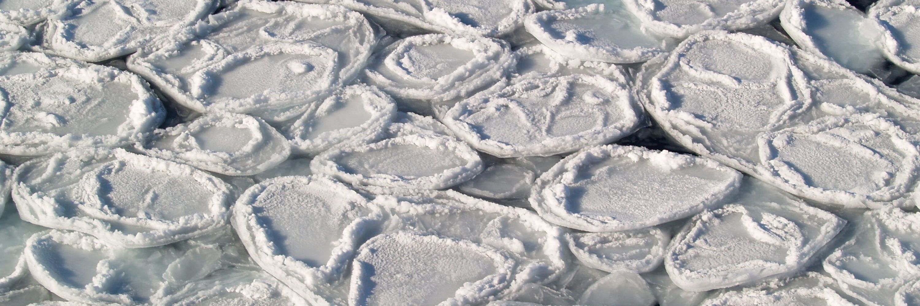 Climate and Cryosphere (CliC)