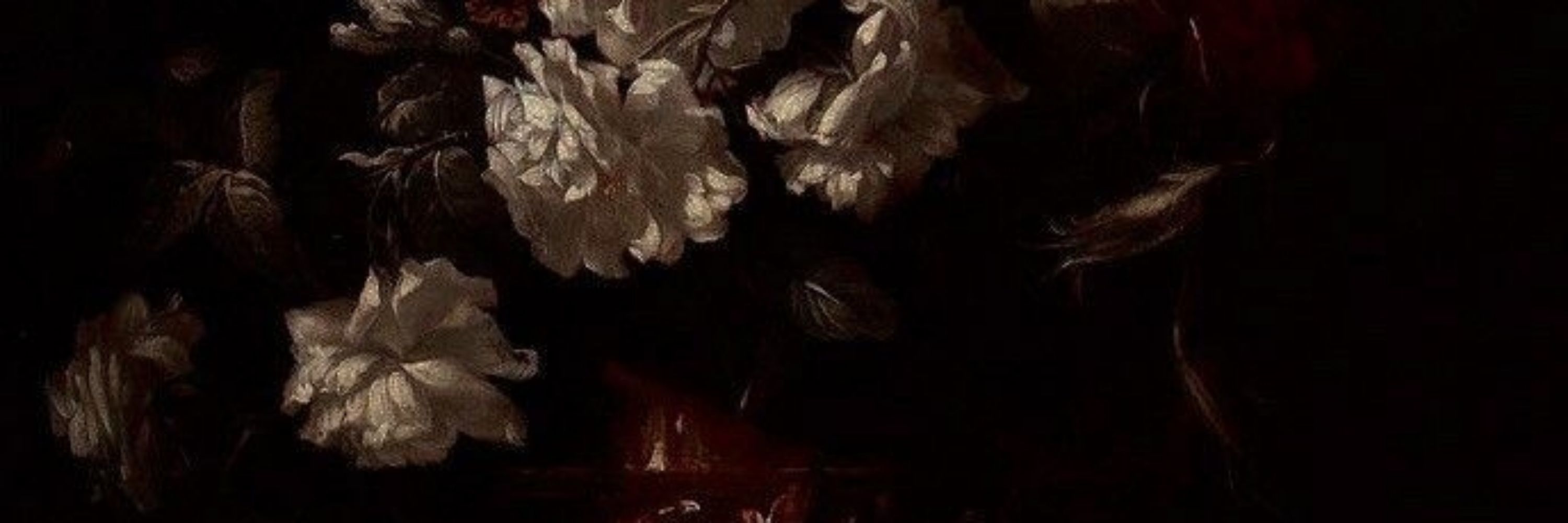 ⋆⁺₊⋆⁺₊⋆