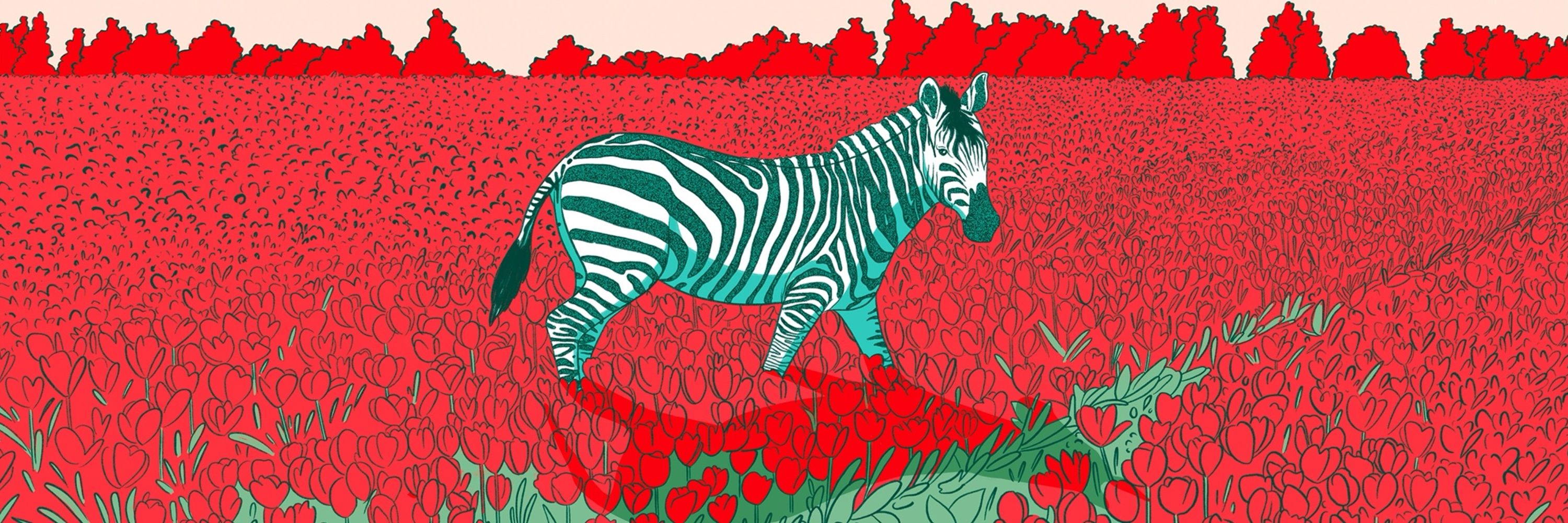 Illustrations - Les nuages
