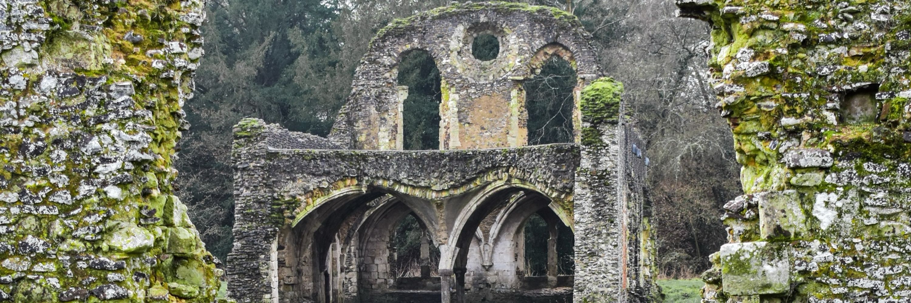 C.A. Fray || Medieval Romance Author