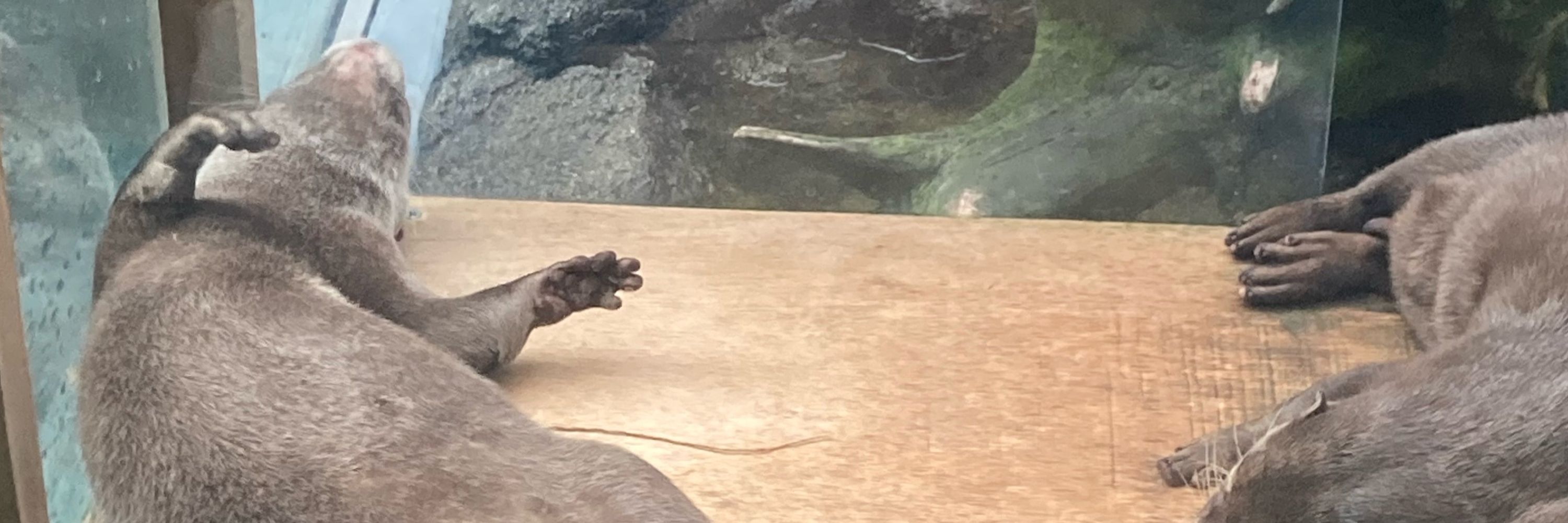 ﾇ~