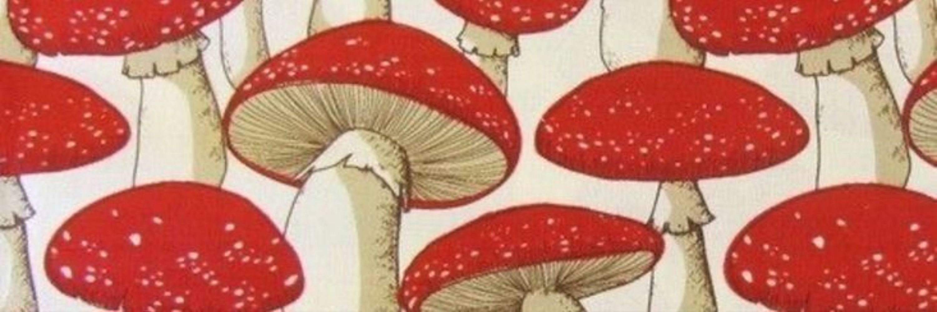 Clicia