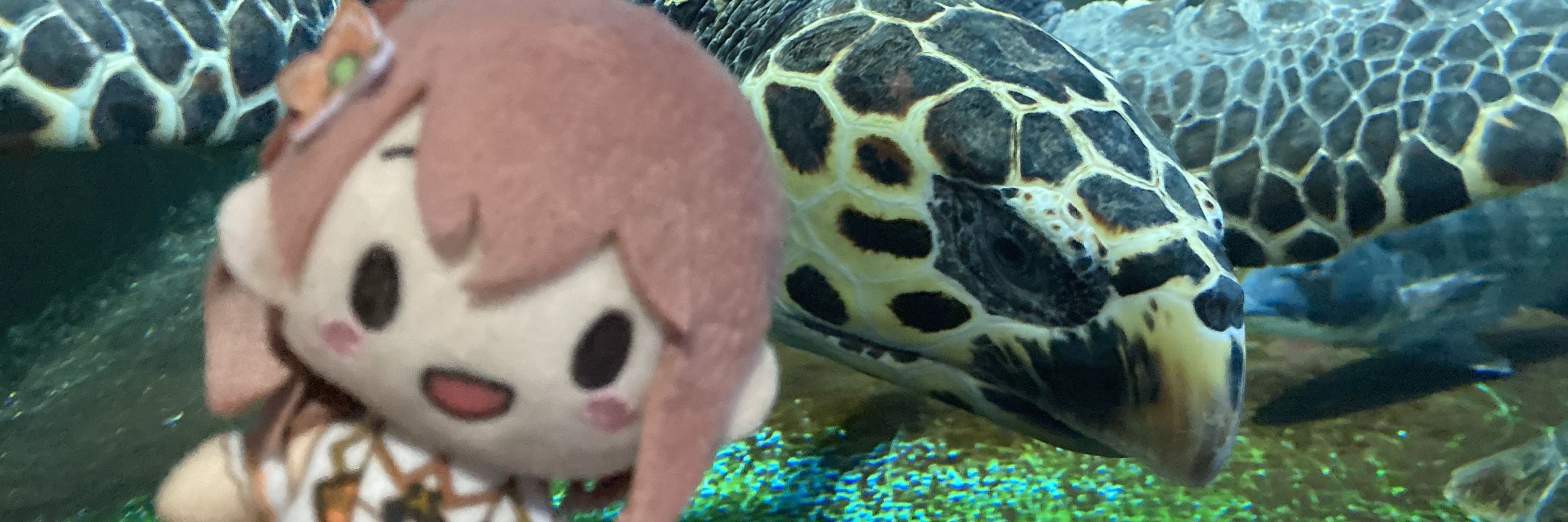 りんご