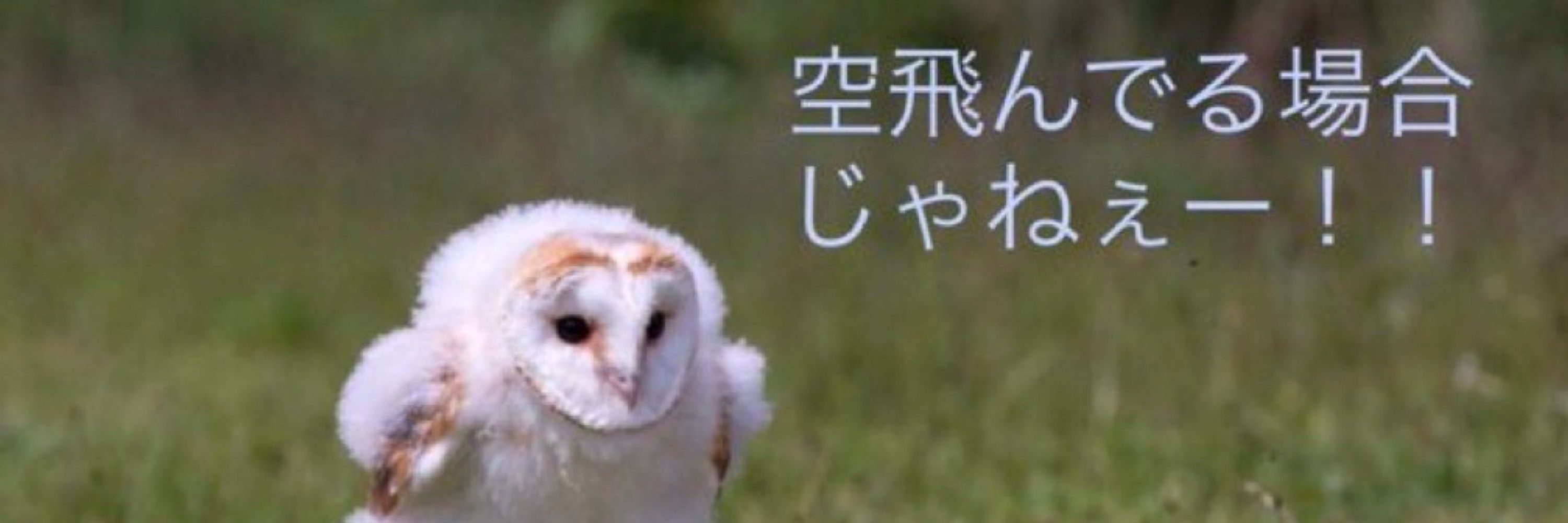 き