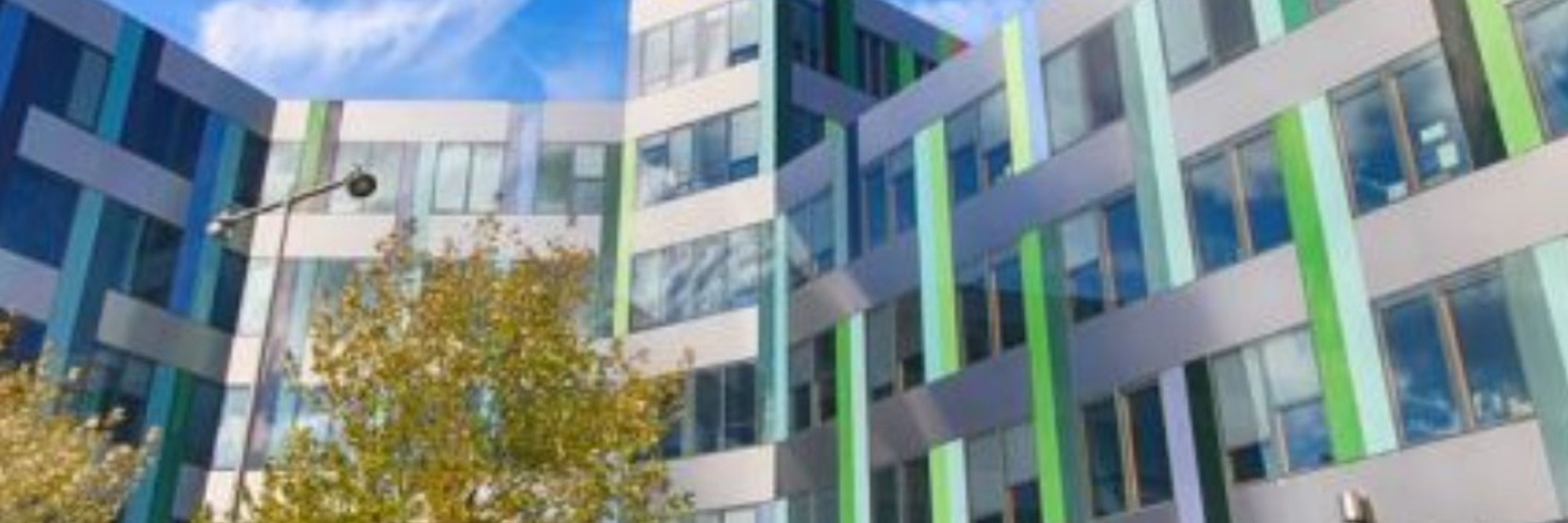 Sheffield Centre for Interdisciplinary Biblical Studies