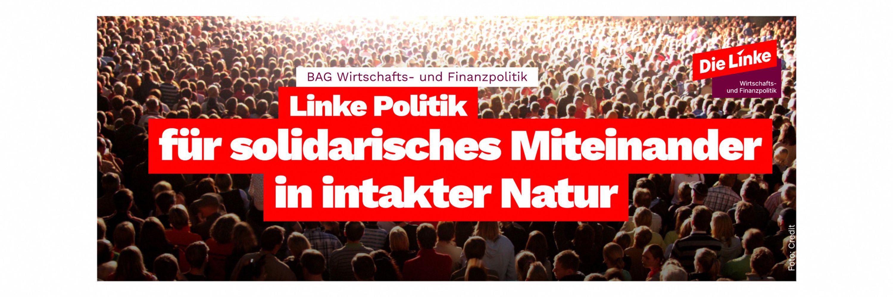 Die Linke BAG Wirtschafts- und Finanzpolitik