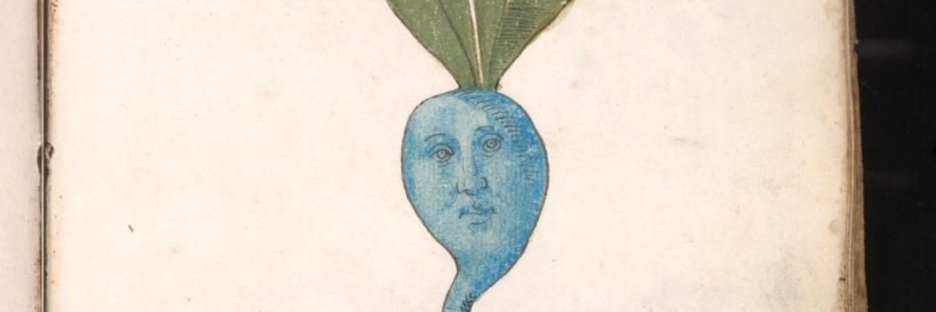 Jonas-Merlin Schumacher