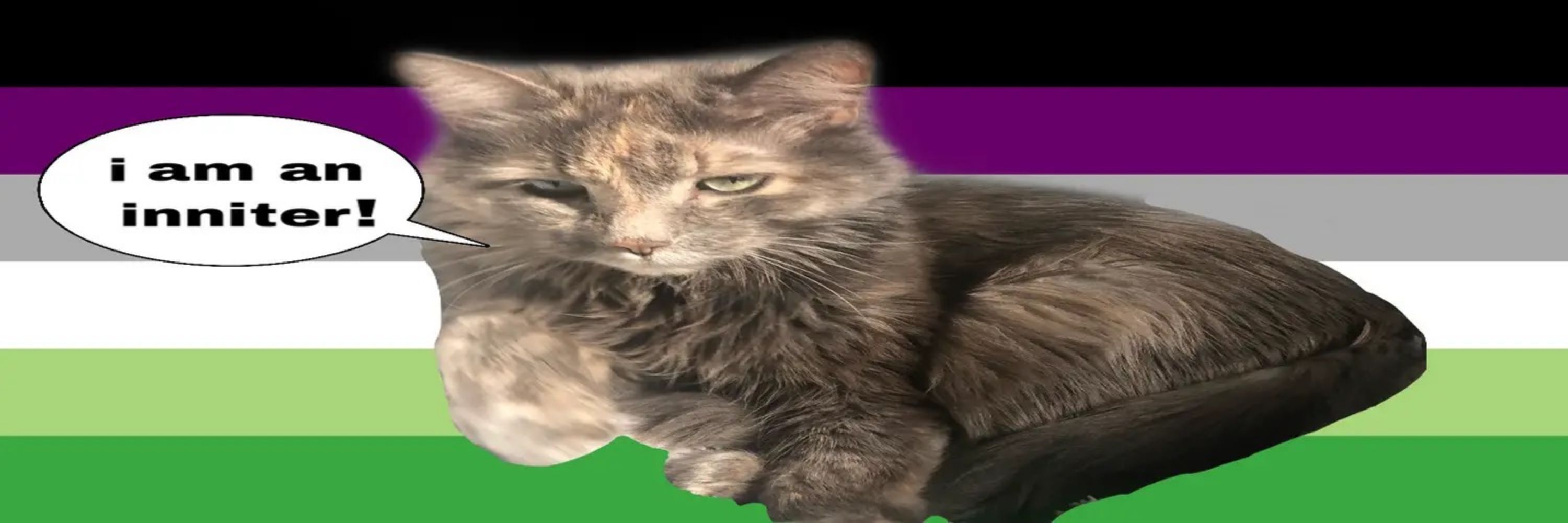 Lokicorn
