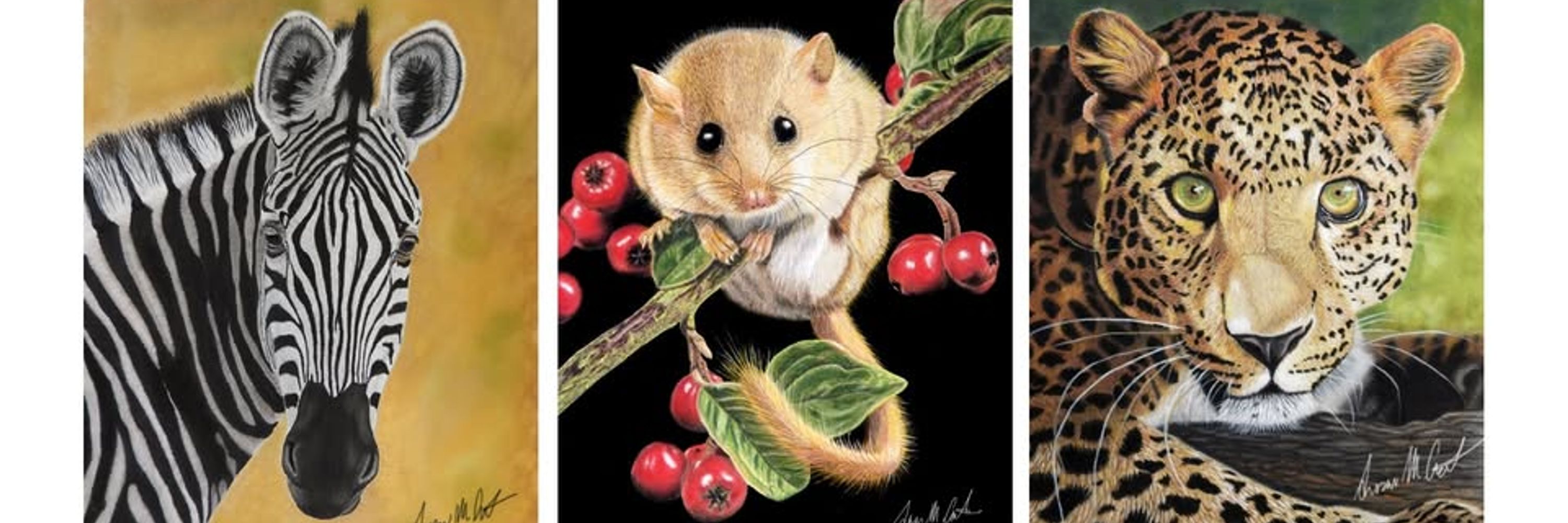 SMC Animal Art