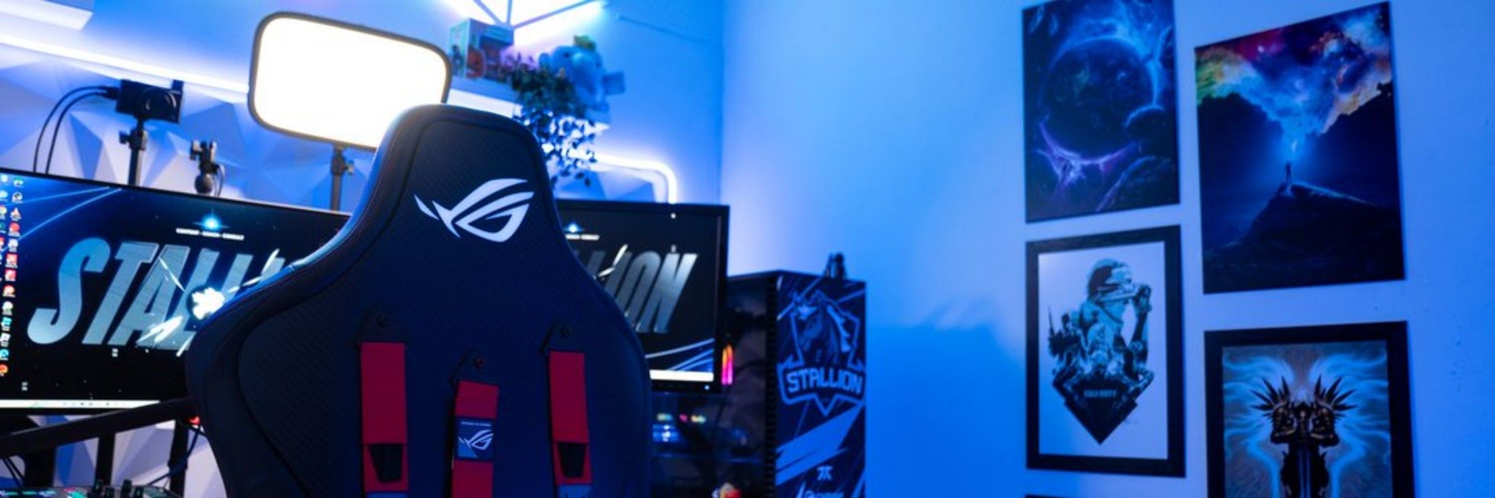 FNATIC Stallion