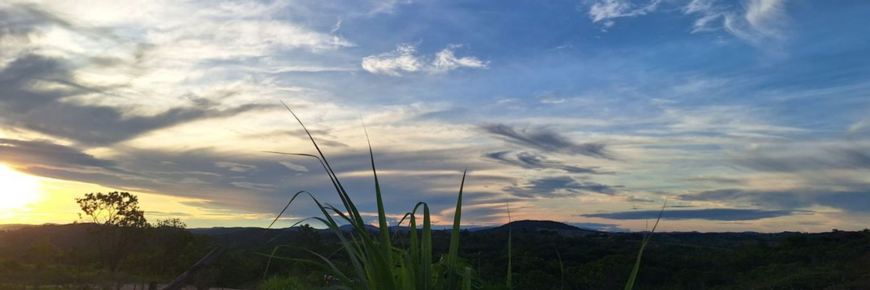 laninha