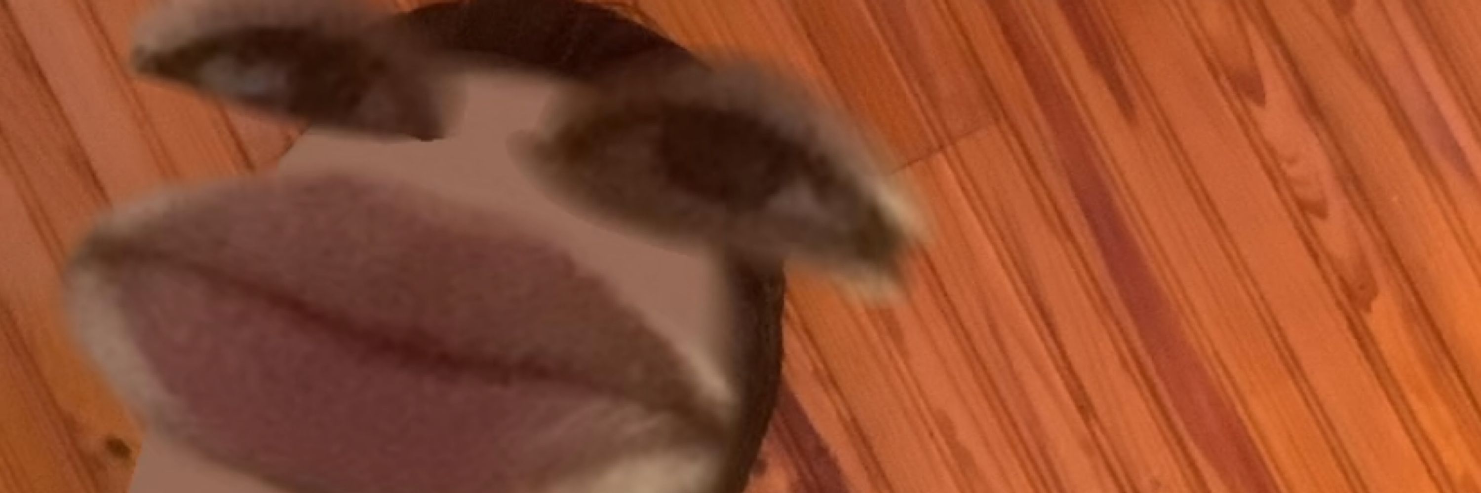 yo