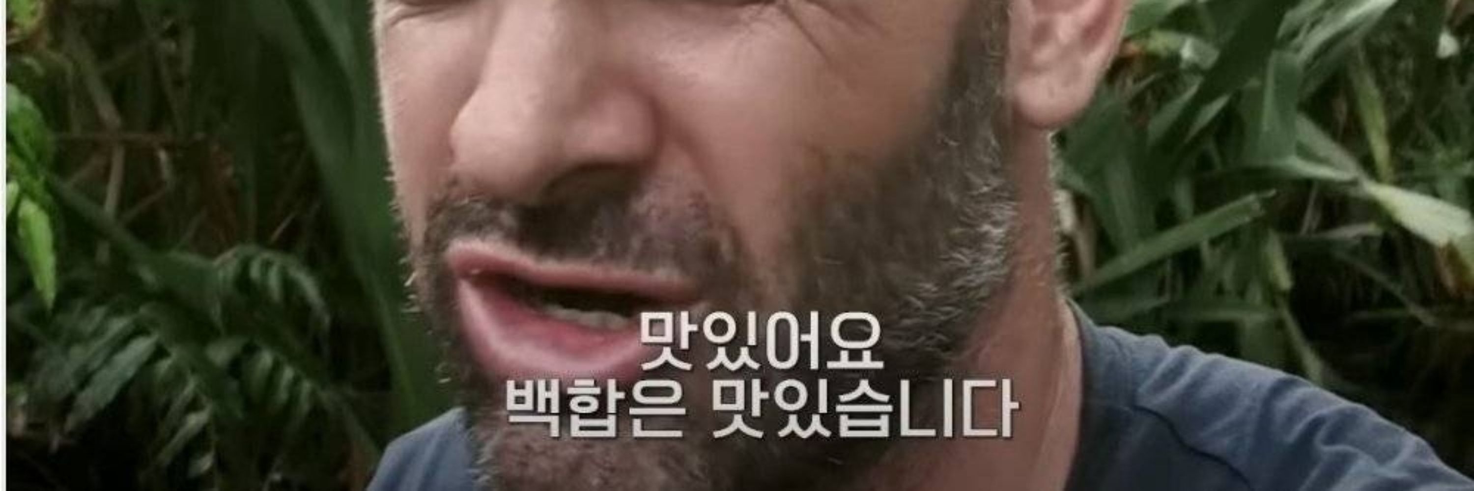 매실