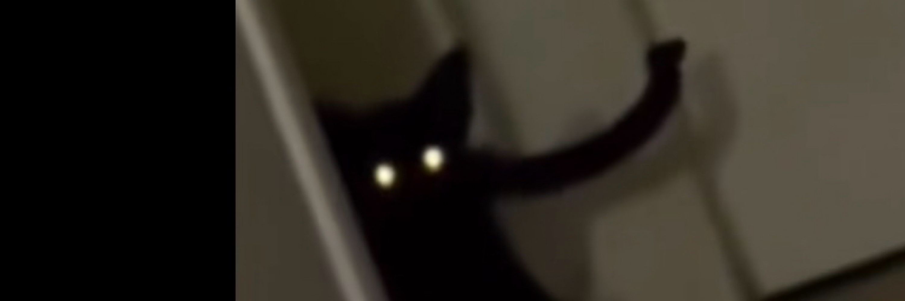 Huh?