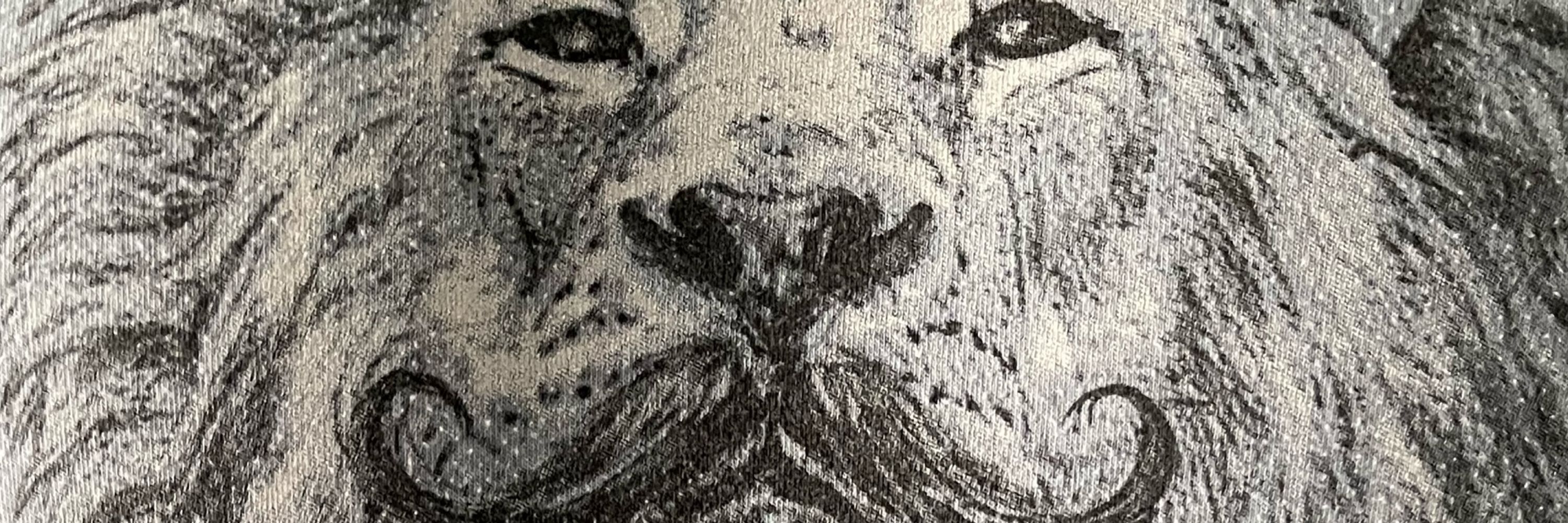 Whiskers