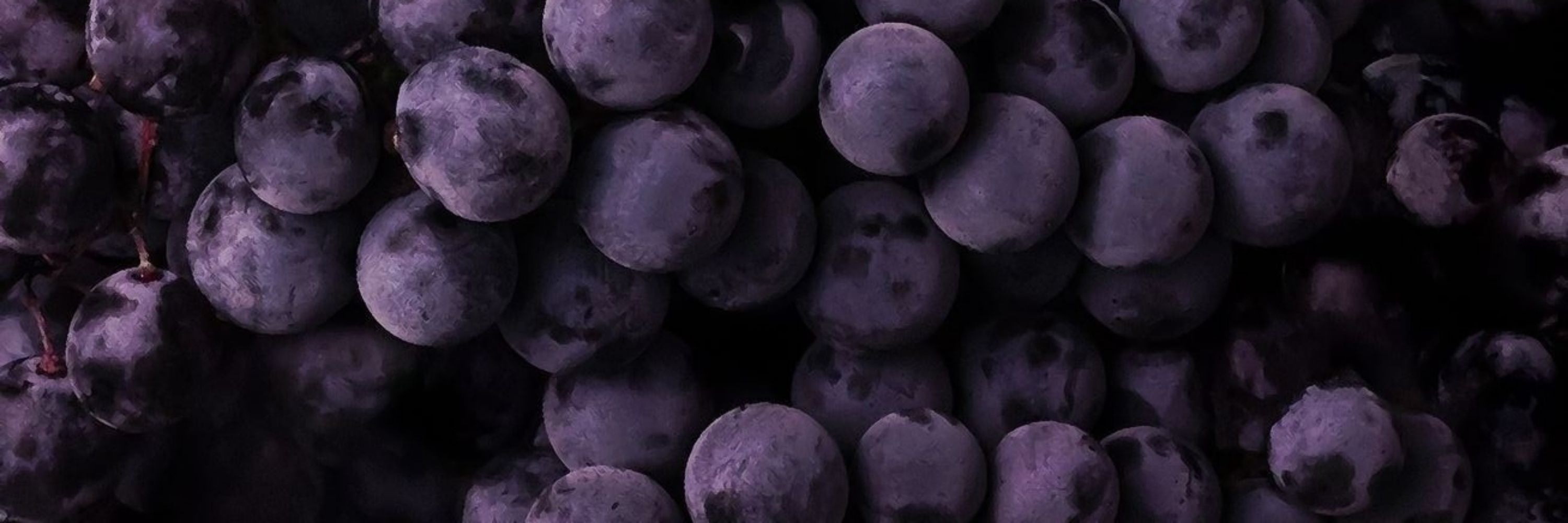 grape🍇✨