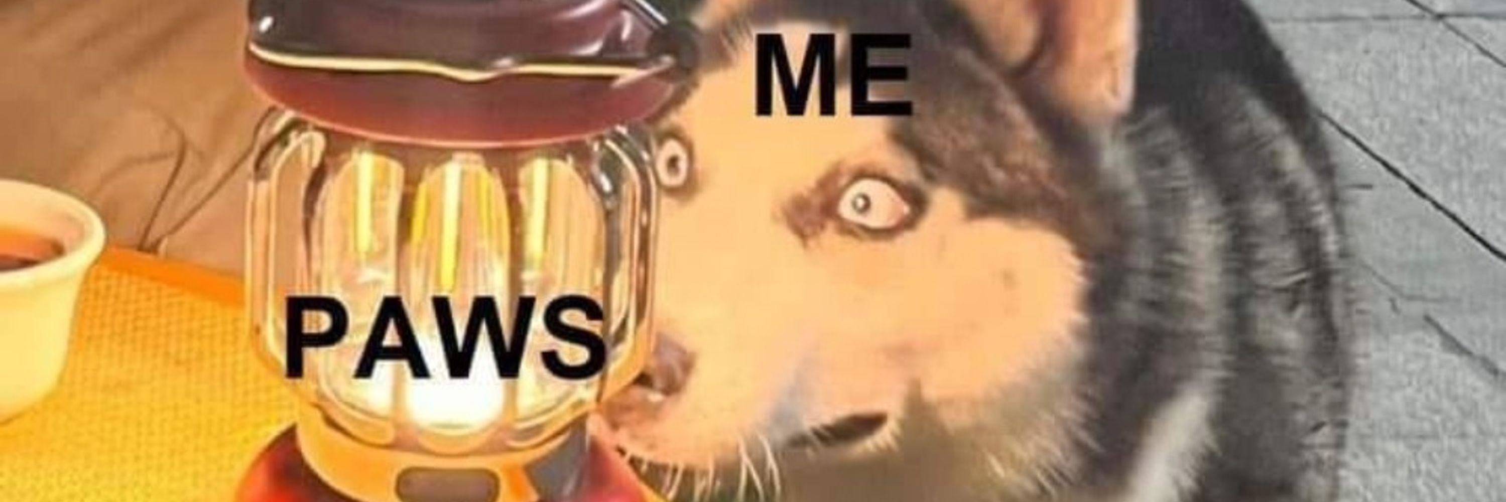 Vix