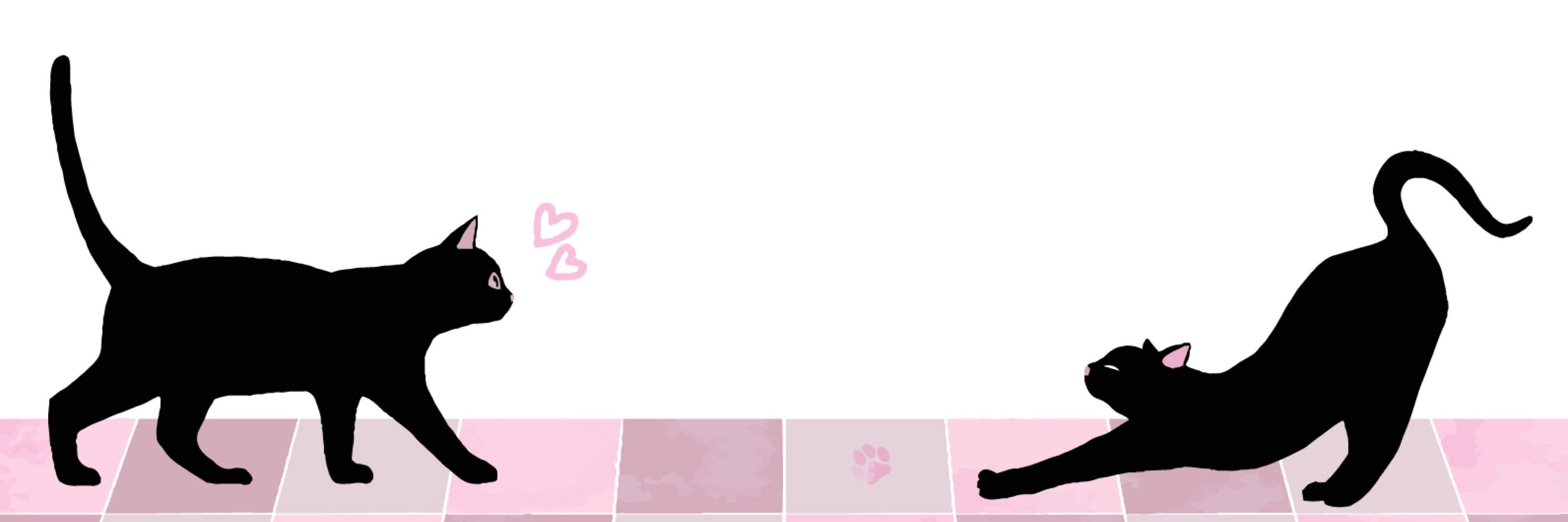 みぃこ