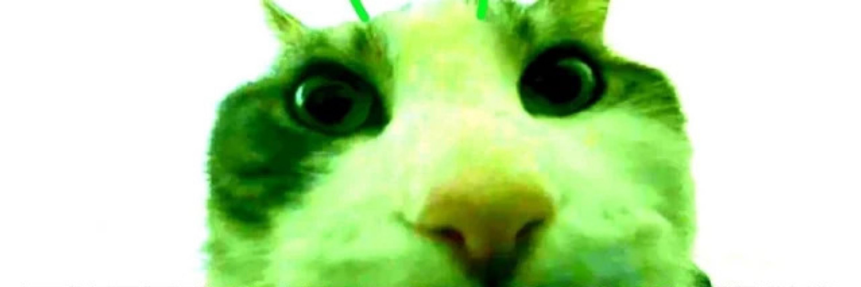 psychopompous