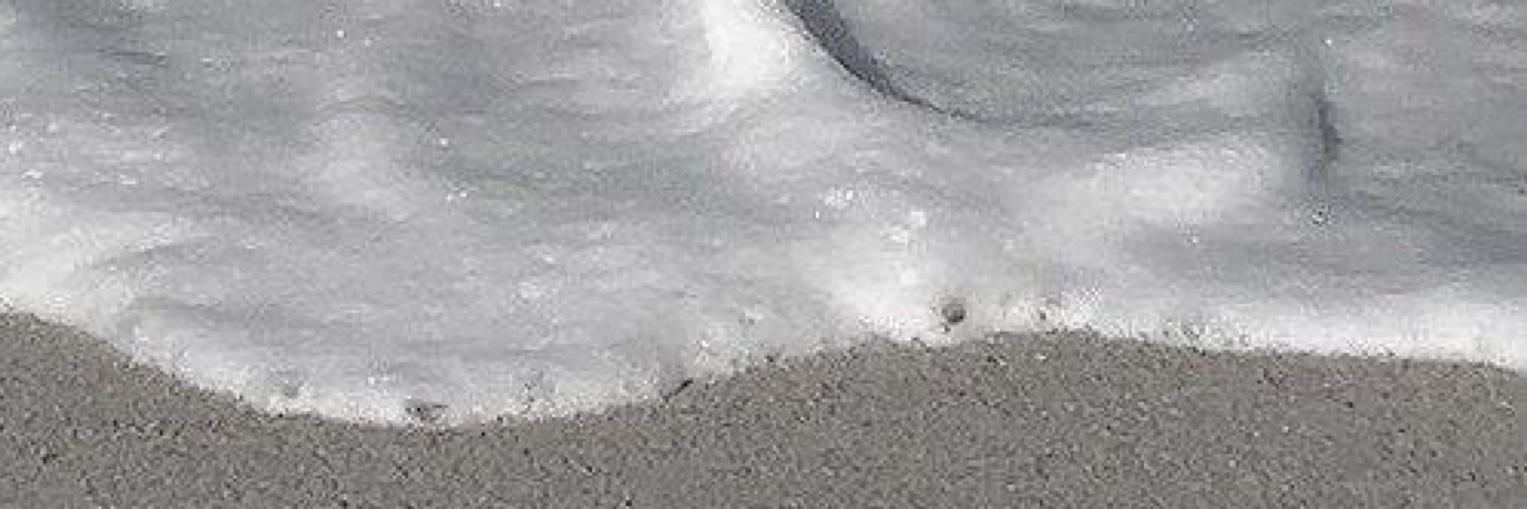 poparikk