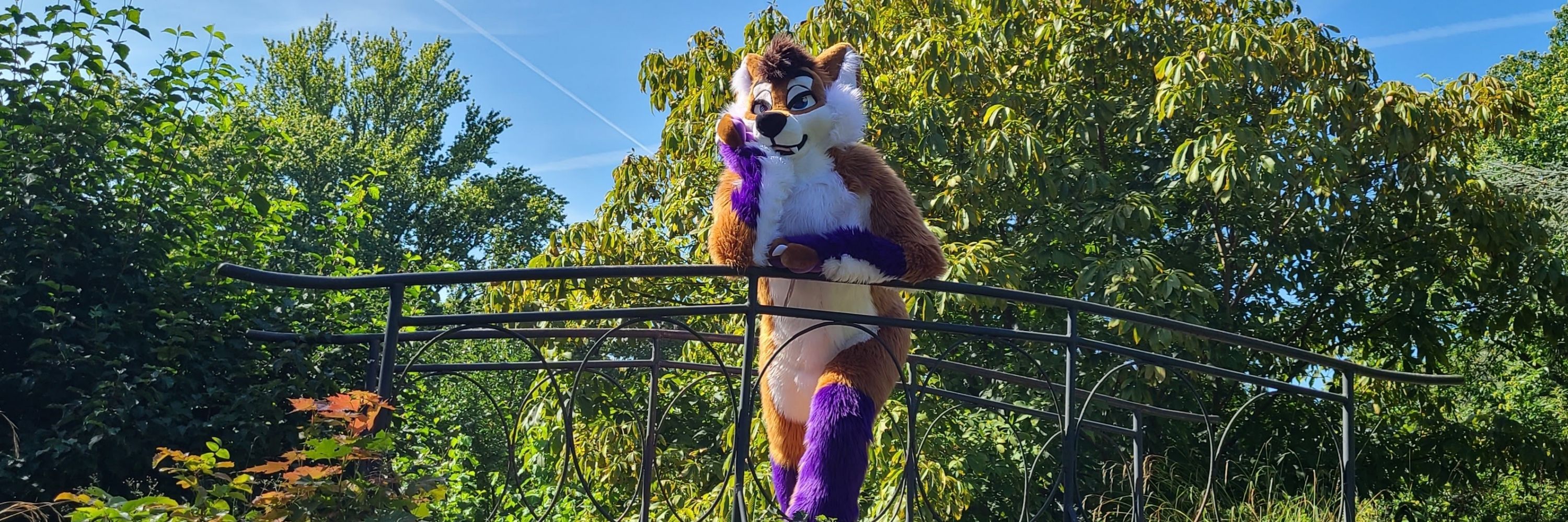 Crash_TheWolf