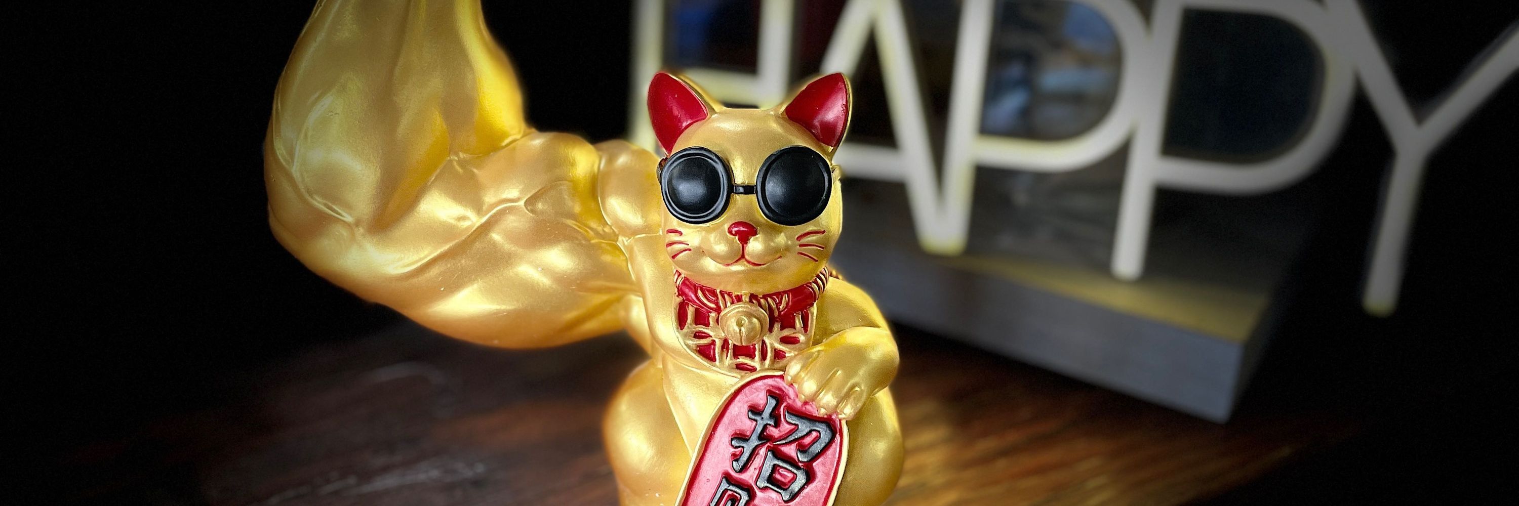 Walter, cat.