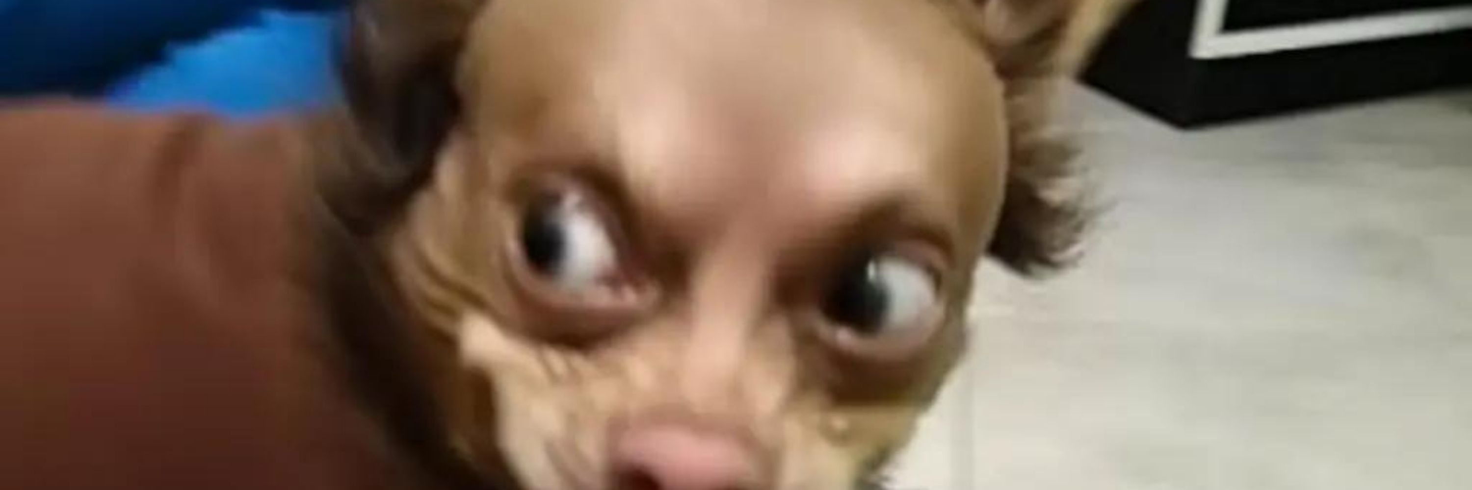 Picopikko